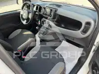 2023 Fiat Panda