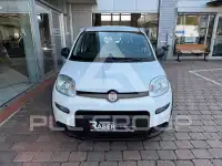 2023 Fiat Panda