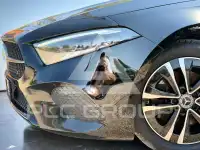 2023 Mercedes Benz A 220