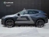 2023 Lexus Other
