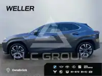 2023 Lexus UX