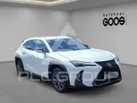 2023 Lexus UX