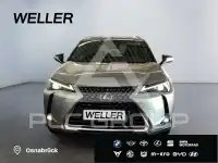 2023 Lexus UX