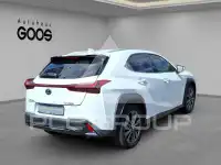 2023 Lexus UX