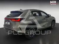 2023 Lexus NX250