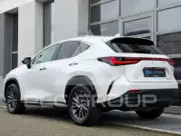 2023 Lexus NX250