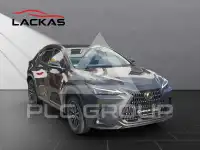 2023 Lexus NX250