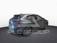 2023 Lexus NX250