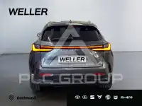 2023 Lexus NX250