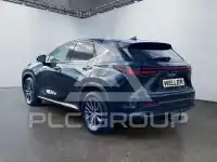2023 Lexus NX250