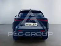 2023 Lexus NX250