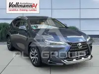 2023 Lexus NX250
