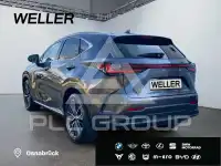 2023 Lexus NX450