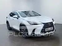 2023 Lexus NX450