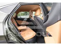 2023 Lexus NX450