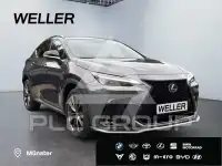 2023 Lexus NX450