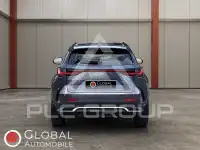 2023 Lexus NX450