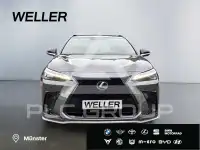 2023 Lexus NX450