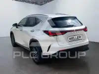 2023 Lexus NX450