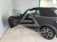 2023 Mini Unknown
