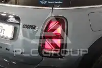 2023 Mini Unknown