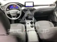 2023 Ford Kuga
