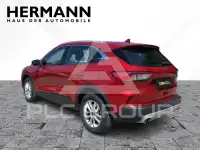 2023 Ford Kuga