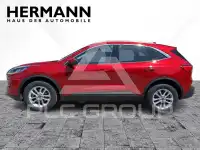 2023 Ford Kuga
