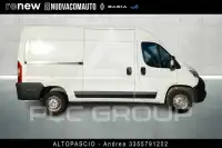 2023 Opel Movano