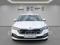 2024 Skoda Octavia