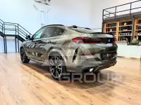 2024 BMW X6