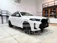 2024 BMW X6