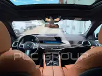 2024 BMW X6
