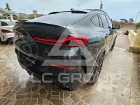 2024 BMW X6