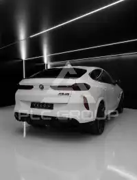 2024 BMW X6