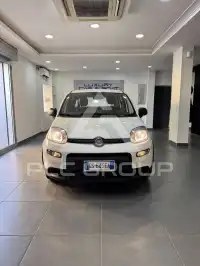 2024 Fiat Panda
