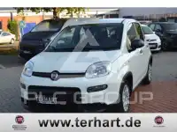 2024 Fiat Panda