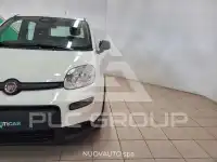2024 Fiat Panda