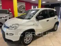 2024 Fiat Panda