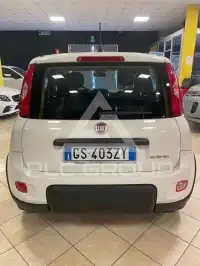 2024 Fiat Panda