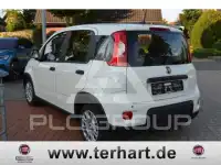 2024 Fiat Panda