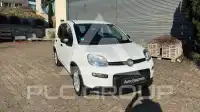 2024 Fiat Panda