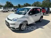 2024 Fiat Panda
