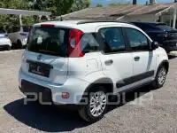 2024 Fiat Panda