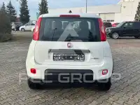 2024 Fiat Panda