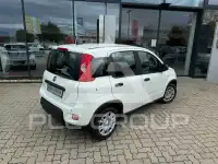 2024 Fiat Panda