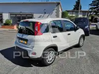 2024 Fiat Panda