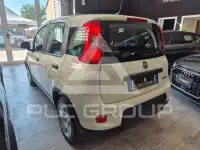2024 Fiat Panda