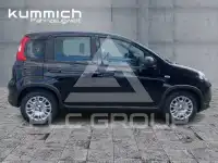 2024 Fiat Panda