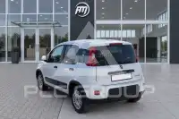 2024 Fiat Panda